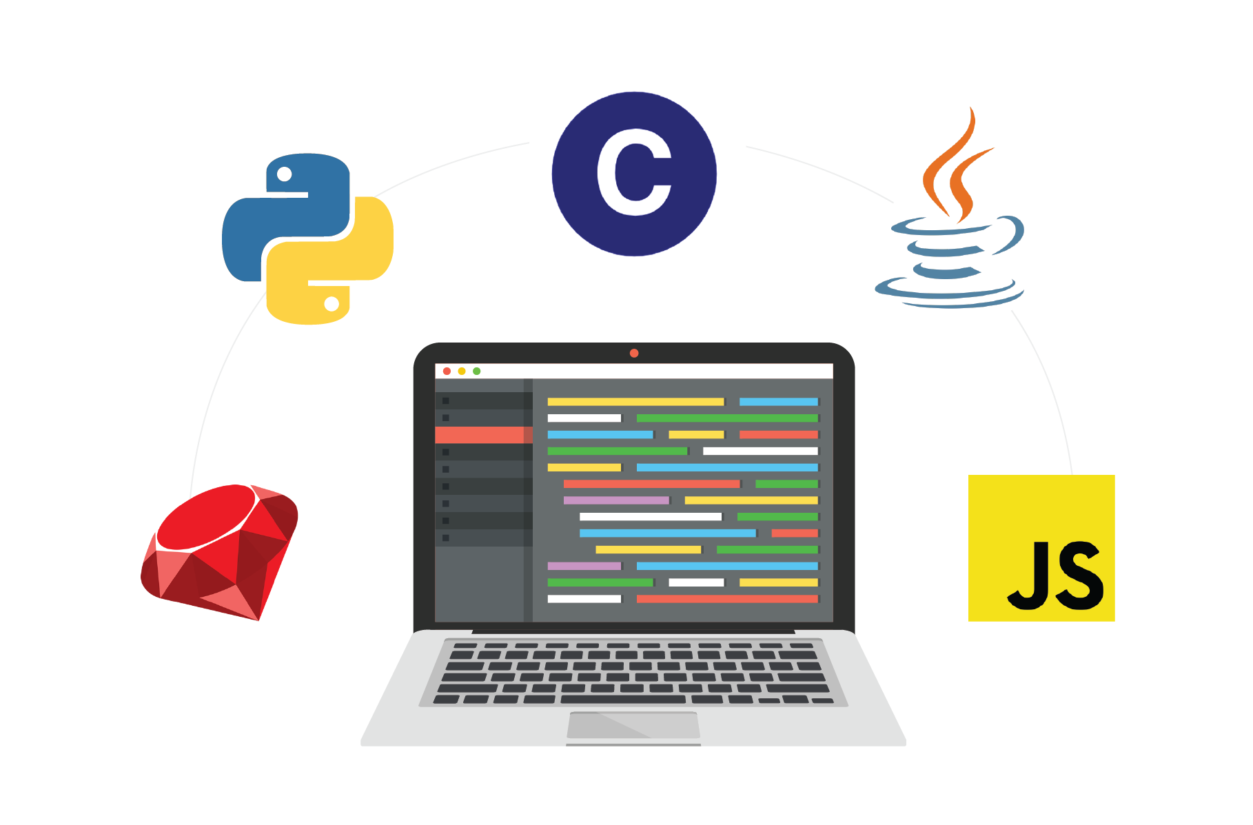 Top Programming Languages for Beginners