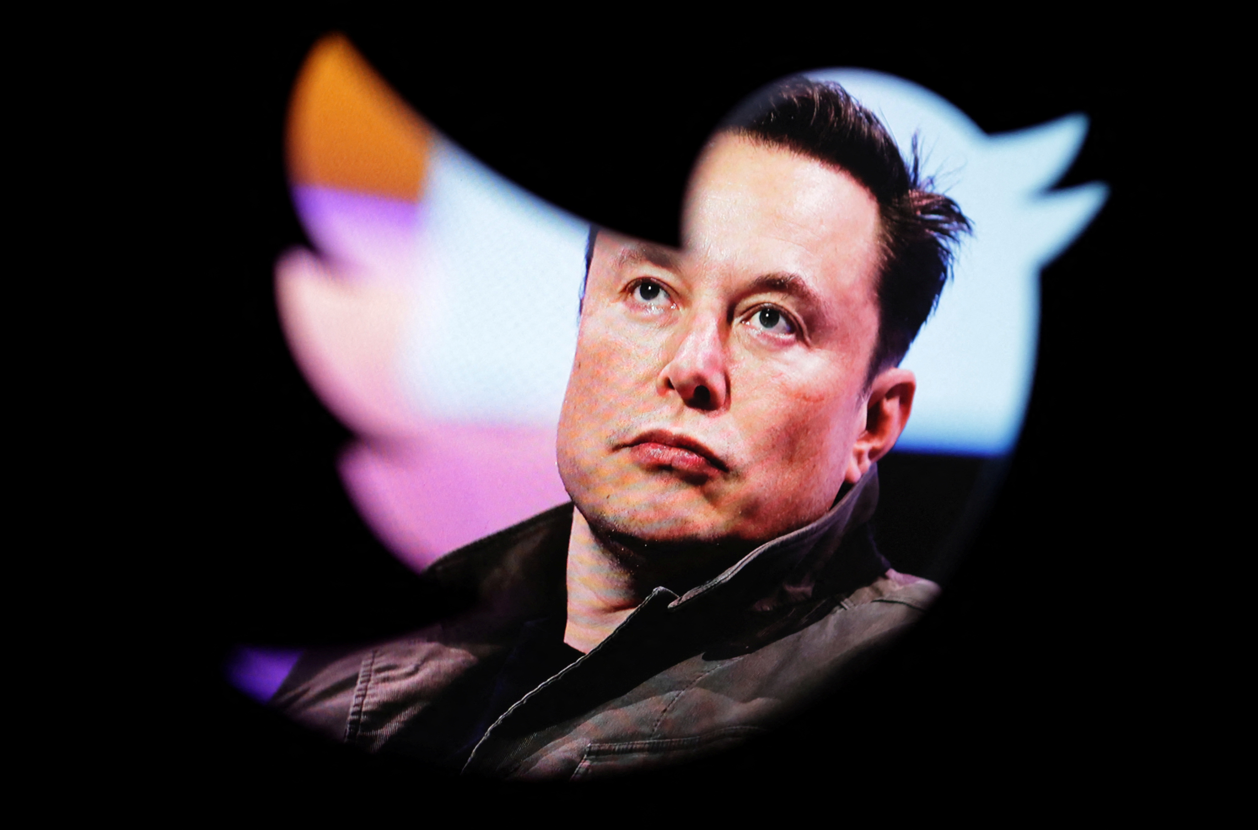 Exploring Elon Musk's Controversial Statements and Twitter Presence