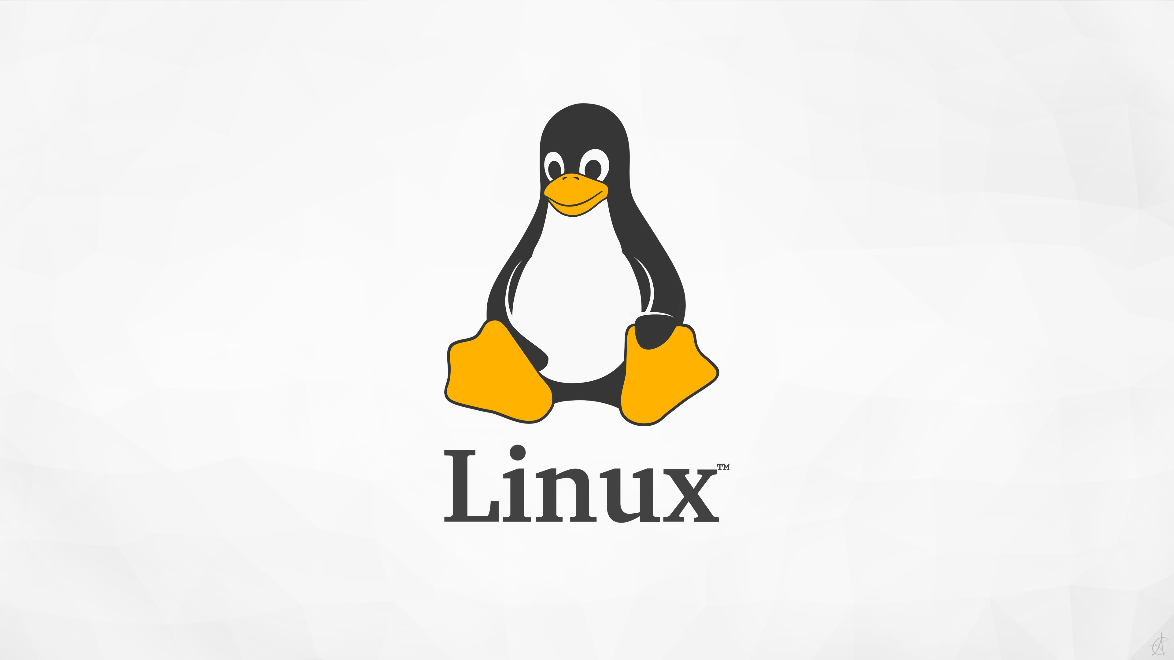 Navigating the Maze: A Guide to Different Linux File Systems