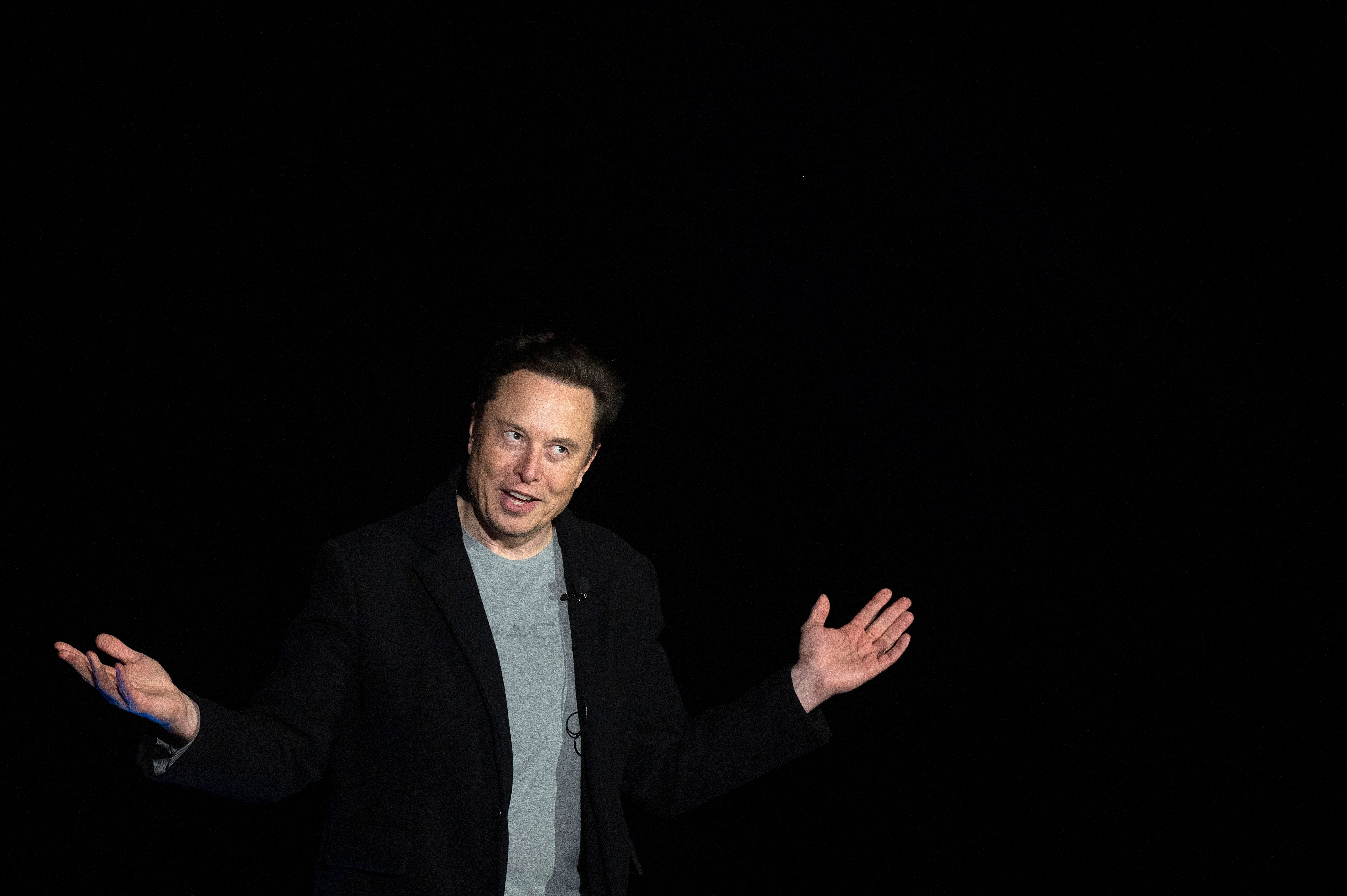 The Influence of Elon Musk on Renewable Energy and Sustainability